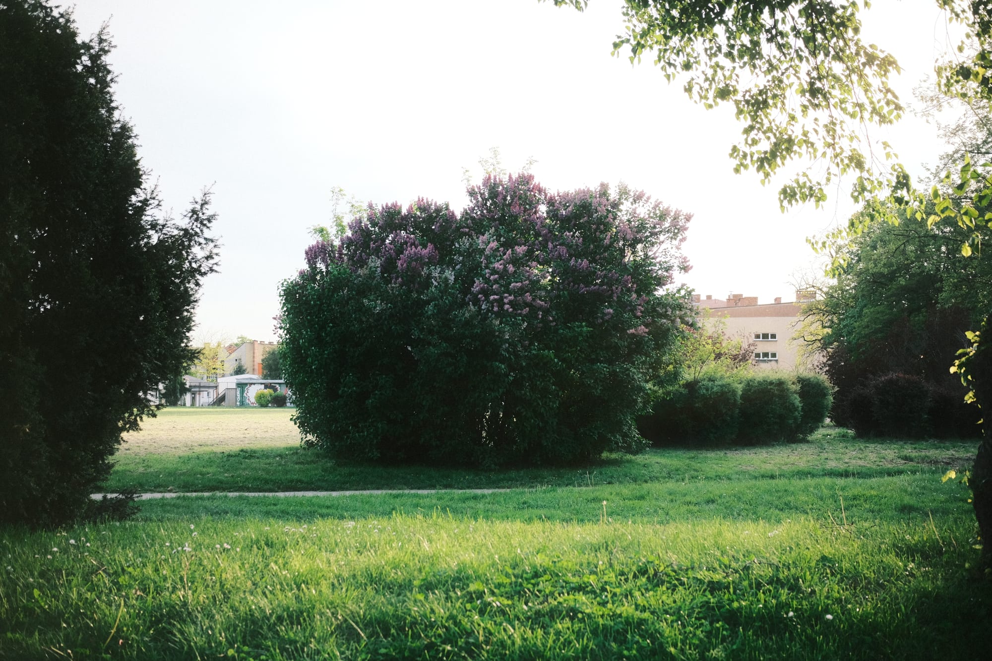 Fotospacer o zachodzie. Nowy Sącz